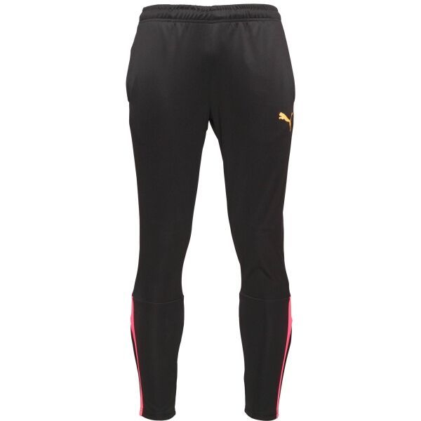 Puma Puma TEAM LIGA TRAINING PANTS Muške hlače za vježbanje, crna, veličina