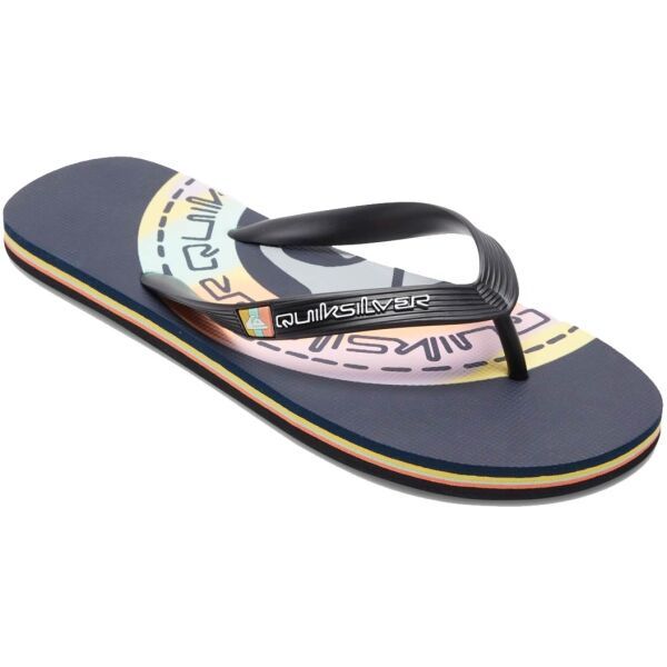 Quiksilver Quiksilver MOLOKAI ART Muške japanke, tamno plava, veličina 40