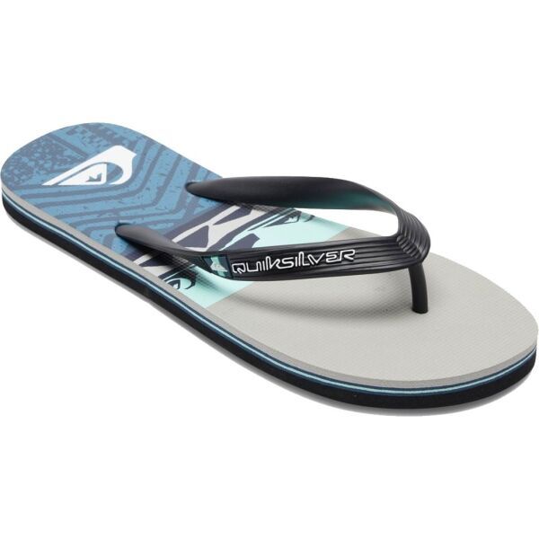 Quiksilver Quiksilver MOLOKAI PANEL Muške japanke, plava, veličina 45