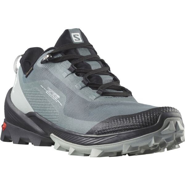 Salomon Salomon CROSS OVER GTX W Ženska obuća za planinarenje, siva, veličina 41 1/3