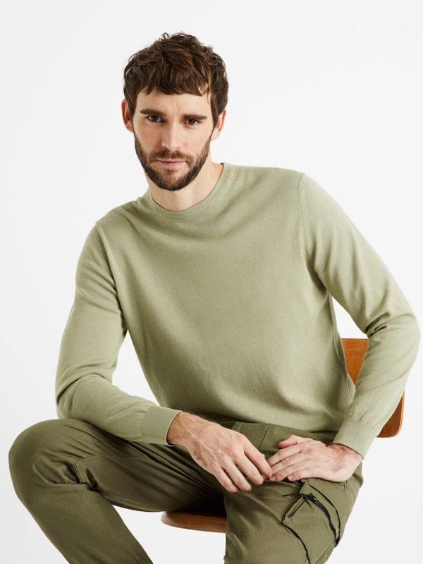 Celio Celio Decoton Džemper zelena