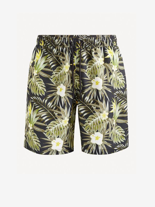 Celio Celio Gibordsurf Kupaći kostim zelena