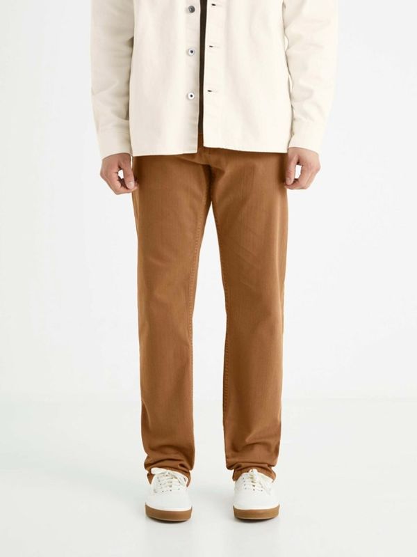Celio Celio Vopry1 Traperice smeđa