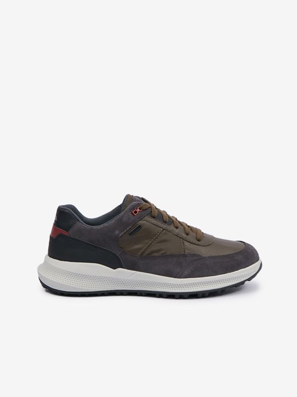 Geox Geox Tenisice zelena