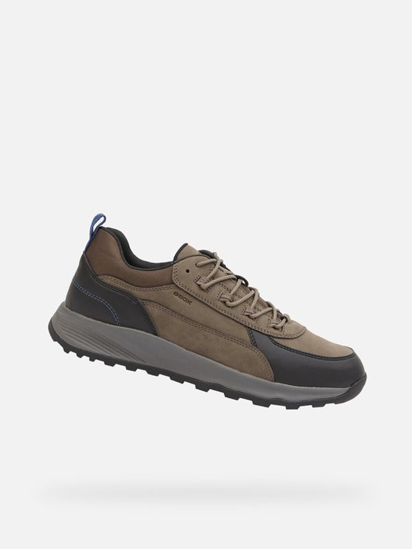Geox Geox Terrestre Tenisice siva