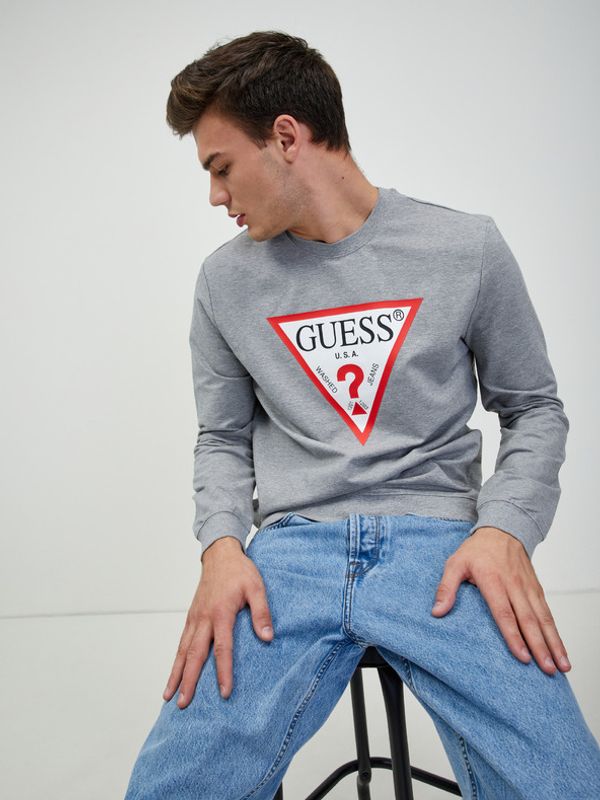 Guess Guess Audley Majica dugih rukava siva