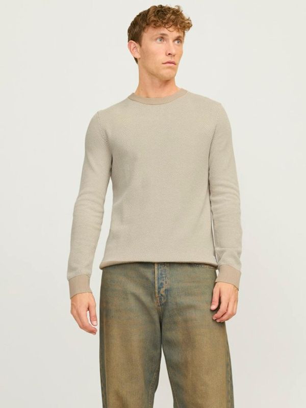 Jack & Jones Jack & Jones Globe Džemper bež