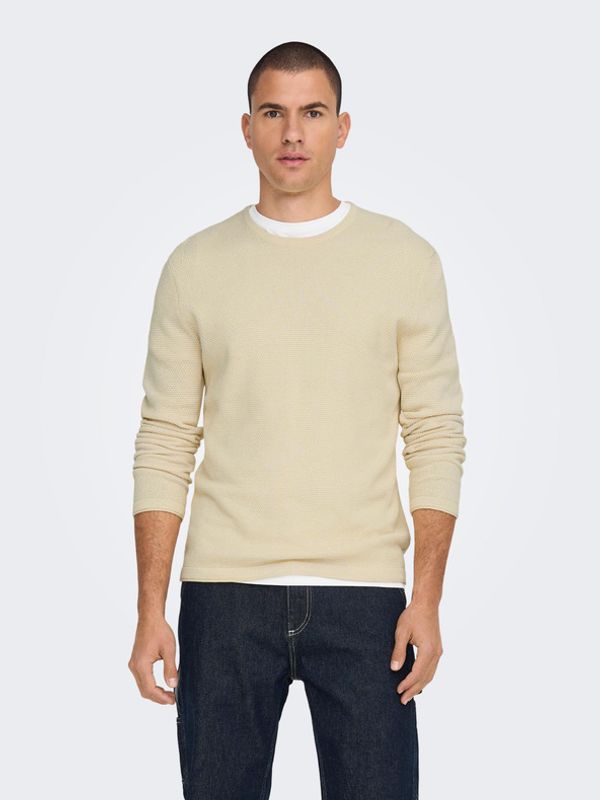 ONLY & SONS ONLY & SONS Panter Džemper bijela