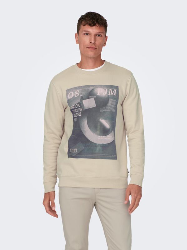 ONLY & SONS ONLY & SONS Todd Majica dugih rukava bež