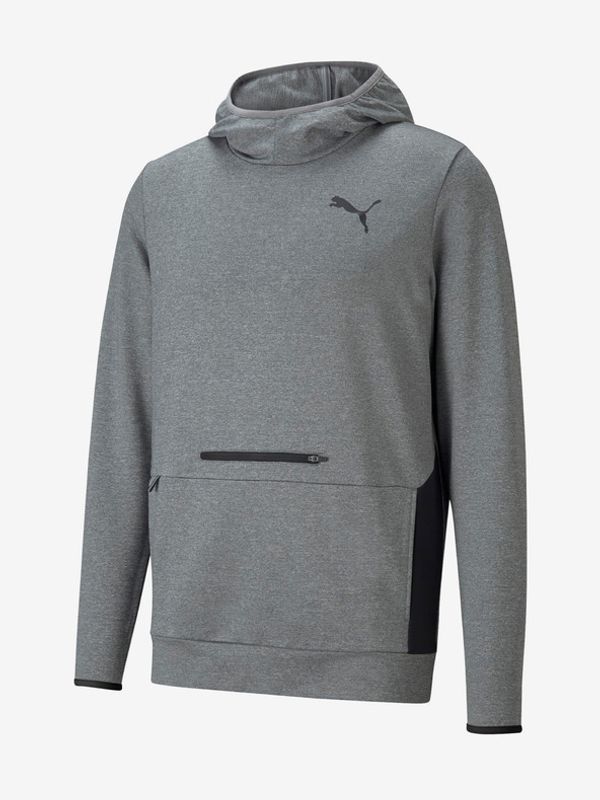 Puma Puma RTG Hoodie Majica dugih rukava siva