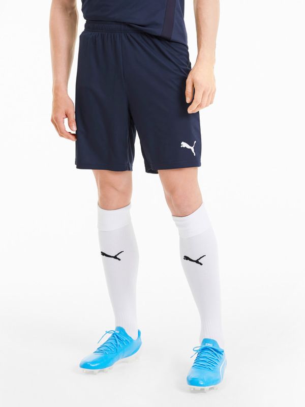 Puma Puma Team Goal Kratke hlače plava
