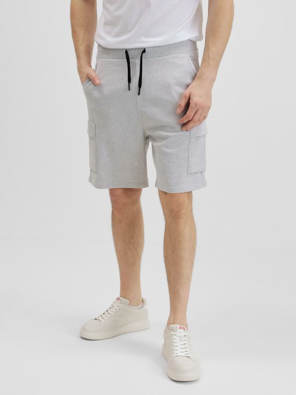 Tom Tailor Denim Tom Tailor Denim Kratke hlače siva