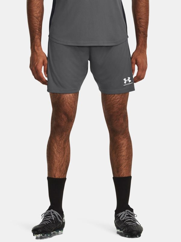 Under Armour Under Armour Kratke hlače siva