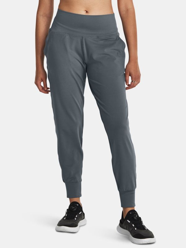 Under Armour Under Armour Meridian Donji dio trenirke siva