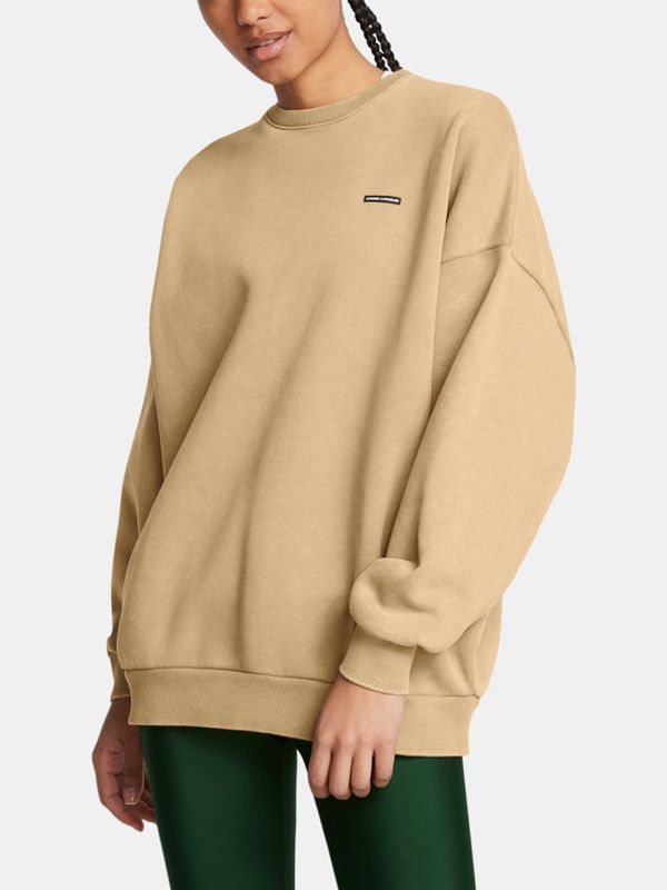Under Armour Under Armour UA Icon HWT Flc OS Crew Majica dugih rukava smeđa