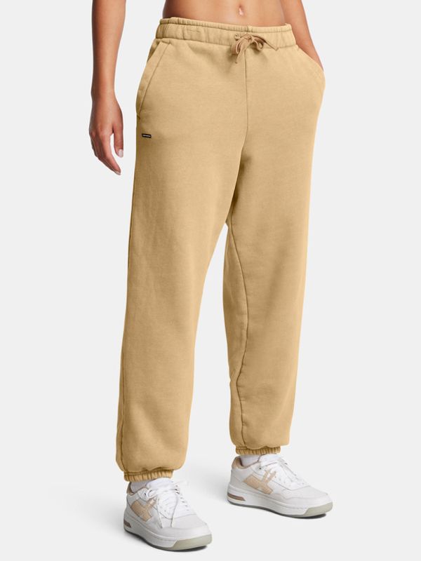 Under Armour Under Armour UA Icon HWT Flc OS Hlače smeđa